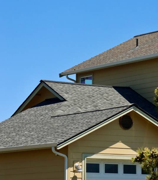 Best Roof Moss and Algae Removal  in West Rancho Dominguez, CA